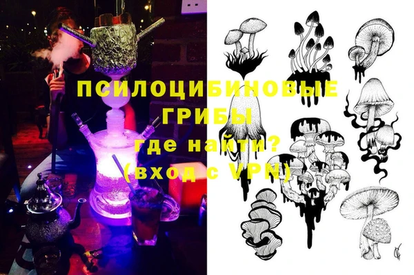 индика Балабаново