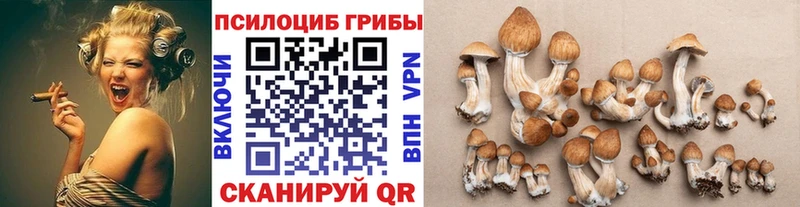 где продают   Спас-Клепики  Галлюциногенные грибы Magic Shrooms 